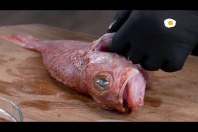 Guía completa de características y cuidados del pez cabracho