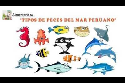 ¿Cuántas especies de pescado encontramos en nuestro mar peruano?