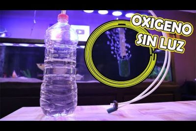 ¿Cómo oxigenar el agua de una pecera si no hay luz?