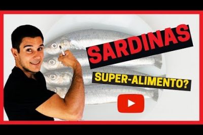 Conoce las características y cuidados de la sardina