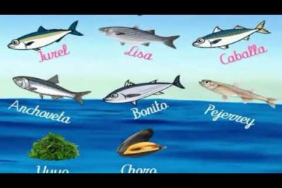 ¿Cómo se llaman los siete peces del mar peruano?
