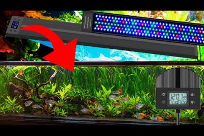 ¿Cuál es la mejor luz para acuario plantado?