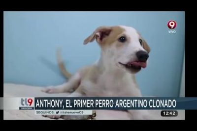 ¿Qué animales se clonan en Argentina?