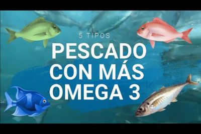 ¿Cuáles son los 3 tipos de pescado?