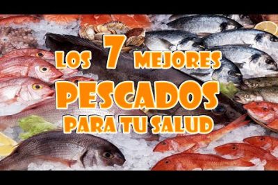 ¿Cuáles son los mejores pescado de mar?
