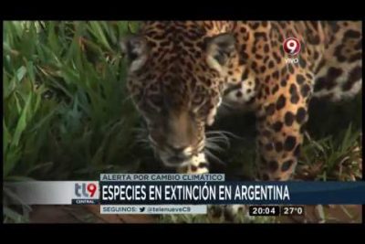¿Cuáles son las especies en peligro de extinción en Argentina?