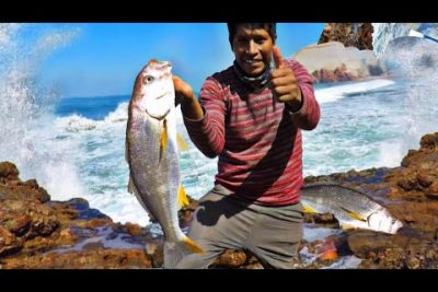 ¿Cuáles son los pescados más caros del Perú?