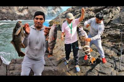 ¿Qué pescados hay en Arequipa?