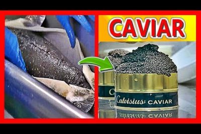 ¿Cuánto cuesta el caviar iraní de 100 gramos?