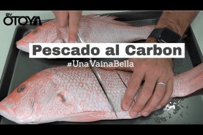 Pargo Amarillo: Características, Pesca y Recetas del Lutjanus argentiventris