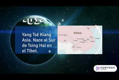 Esturión del Yangtsé: Características, hábitat y conservación