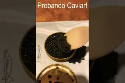 Precio caviar negro Argentina: descubre cuánto cuesta