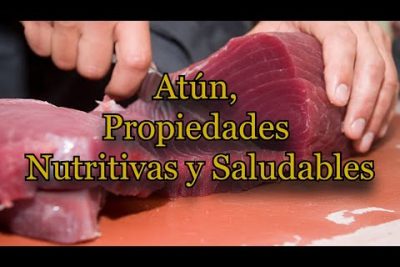 Descubre los beneficios saludables del atún (Thunnus spp.)