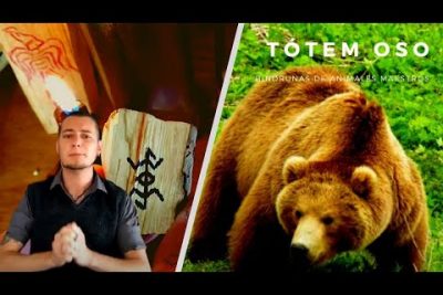 Significado del oso en China: Descubre la simbologÃ­a y cultura